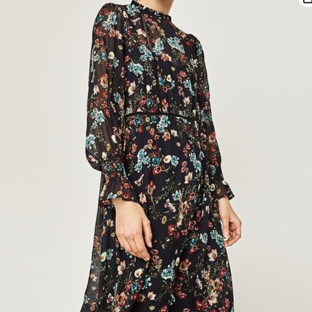 Zara Floral Chiffon Midi dress XS